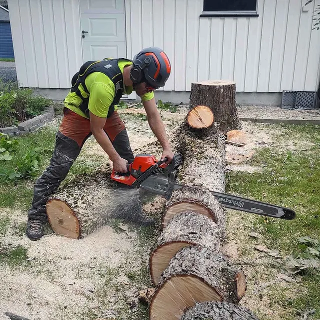 Hvit hus